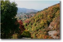 Foto Savignone - Boschi - Autunno a Savignone