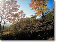 Fotografie Savignone - Boschi - Autunno al Castello