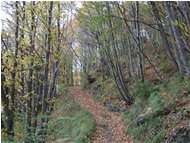  Autunno nel bosco - Savignone - 2002 - Boschi - Inverno - Voto: Non  - Last Visit: 27/1/2024 17.20.10 