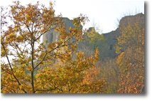 Fotografie Savignone - Boschi - Castello Fieschi: un po’ di colore sul grigio dei ruderi