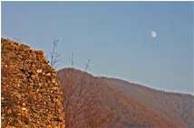  Che fai tu luna in ciel, dimmi che fai silenziosa luna?... - Savignone - 2007 - Boschi - Inverno - Voto: 7    - Last Visit: 13/4/2024 16.47.53 