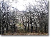 Fotografie Savignone - Boschi - Colonia di Montemaggio tra nebbia e boschi spogli