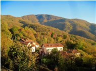  Colori d’autunno nei boschi di Savignone - Savignone - 2018 - Boschi - Inverno - Voto: Non  - Last Visit: 26/6/2022 19.27.40 