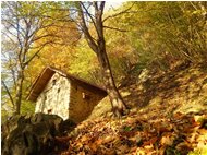  Colori d’autunno nei boschi di Savignone - Savignone - 2018 - Boschi - Inverno - Voto: Non  - Last Visit: 15/5/2022 16.9.21 