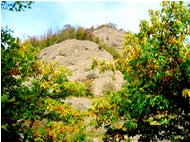  Colori d’autunno, tra siccità e cambio di stagione - Savignone - 2017 - Boschi - Estate - Voto: Non  - Last Visit: 25/5/2024 9.23.19 
