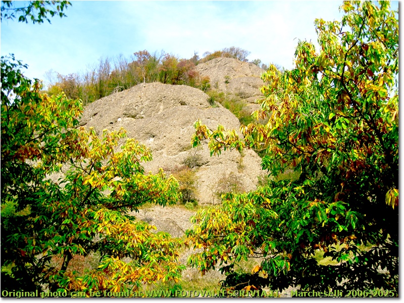Colori d’autunno, tra siccità e cambio di stagione - Savignone - 2017 - Boschi - Estate - Canon Ixus 980 IS