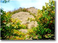 Fotografie Savignone - Boschi - Colori d’autunno, tra siccità e cambio di stagione