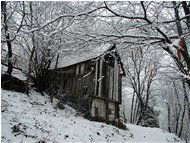  Fienile - Savignone - 2004 - Boschi - Inverno - Voto: Non  - Last Visit: 3/10/2023 18.43.18 
