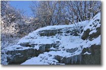 Foto Savignone - Boschi - Ghiaccio e neve salendo al M. Pianetto