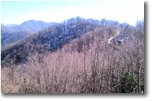 Fotografie Savignone - Boschi - Il versante nord del Monte Pianetto