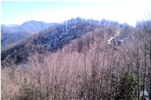  Il versante nord del Monte Pianetto - Savignone - 2012 - Boschi - Inverno - Voto: Non  - Last Visit: 28/8/2022 21.47.55 