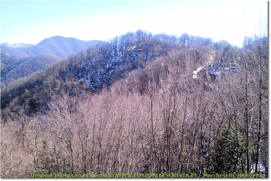 Il versante nord del Monte Pianetto - Savignone - 2012 - Boschi - Inverno - Canon Ixus 980 IS