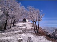  Inverno sul Monte Pianetto - Savignone - 2011 - Boschi - Inverno - Voto: Non  - Last Visit: 30/9/2023 8.52.38 