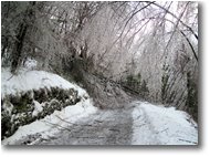 Foto Savignone - Boschi - La galaverna del 22 dicembre