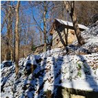  La prima (e forse l'ultima?) nevicata - Savignone - 2024 - Boschi - Inverno - Voto: Non  - Last Visit: 25/5/2024 7.34.20 