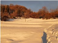  Luce al tramonto sui prati innevati - Savignone - 2022 - Boschi - Inverno - Voto: Non  - Last Visit: 25/5/2024 2.51.16 