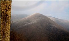  Monte Carmo di Piambertone - Savignone - 2019 - Boschi - Inverno - Voto: Non  - Last Visit: 23/6/2022 19.6.47 