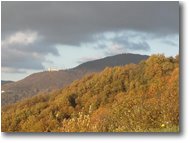 Foto Savignone - Boschi - Monte Maggio in autunno