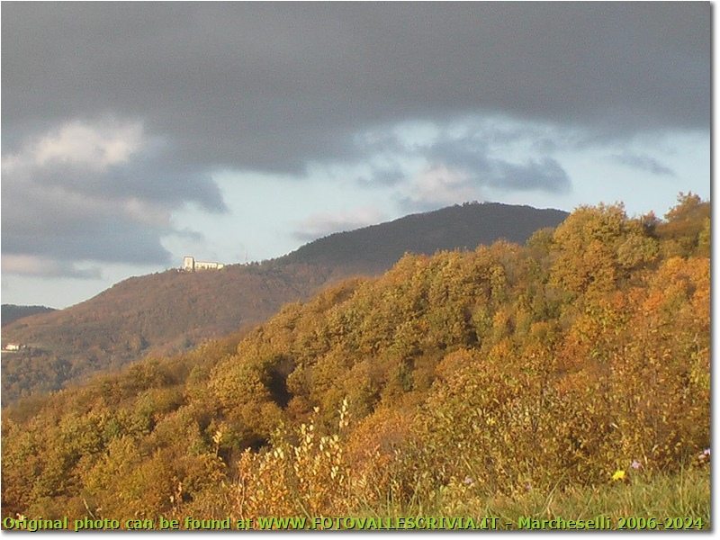 Monte Maggio in autunno - Savignone - 2005 - Boschi - Inverno - Panasonic nv-gs70 (VideoCam)