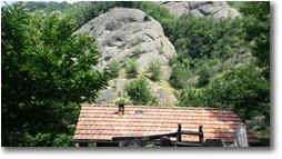 Fotografie Savignone - Boschi - Nella valle del Rio Maggione