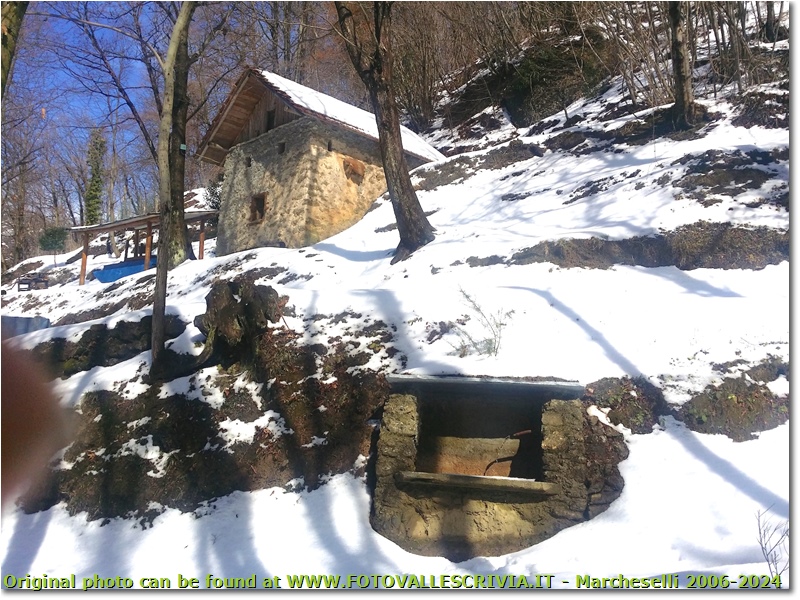 Neve di Marzo: nei boschi di Savignone - Savignone - 2018 - Boschi - Inverno - HTC One S Nokia C7-00 (o altro cell)
