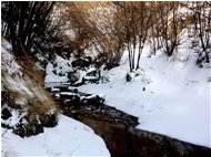  Neve di Marzo: rio Maggione - Savignone - 2018 - Boschi - Inverno - Voto: Non  - Last Visit: 28/8/2022 21.26.20 