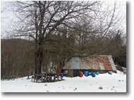 Foto Savignone - Boschi - Neve di Marzo: salendo al monte Pianetto