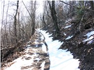  Neve di marzo sul M. Pianetto - Savignone - 2005 - Boschi - Inverno - Voto: Non  - Last Visit: 2/2/2024 2.5.2 