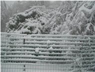  Neve ed effetto galaverna - Savignone - 2004 - Boschi - Inverno - Voto: Non  - Last Visit: 27/9/2023 14.24.0 