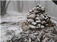  Neve nei boschi del M. Maggio - Savignone - 2019 - Boschi - Inverno - Voto: Non  - Last Visit: 23/9/2023 22.39.4 