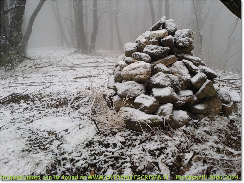 Neve nei boschi del M. Maggio - Savignone - 2019 - Boschi - Inverno - HTC One S Nokia C7-00 (o altro cell)