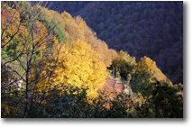 Fotografie Savignone - Boschi - Pennellata di luce al tramonto