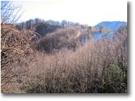 Foto Savignone - Boschi - Pianetto: la cima della Cappelletta