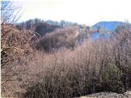  Pianetto: la cima della Cappelletta - Savignone - 2014 - Boschi - Inverno - Voto: Non  - Last Visit: 20/10/2022 13.15.6 