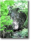 Fotografie Savignone - Boschi - An old landslide in the woods