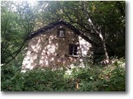Foto Savignone - Boschi - Ruderi di Case Crosi sperdute nel bosco