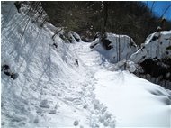  Salendo la Valle del rio Maggione - Savignone - 2013 - Boschi - Inverno - Voto: Non  - Last Visit: 28/9/2023 4.48.46 