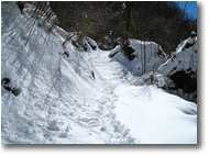 Foto Savignone - Boschi - Salendo la Valle del rio Maggione
