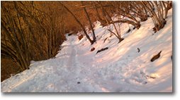 Fotografie Savignone - Boschi - Scendendo nella neve da Montemaggio, al tramonto