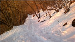  Scendendo nella neve da Montemaggio, al tramonto - Savignone - 2013 - Boschi - Inverno - Voto: Non  - Last Visit: 25/9/2022 22.4.20 