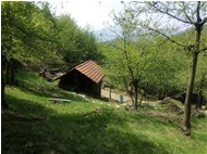  Un angolo della valle del rio Maggione - Savignone - 2018 - Boschi - Estate - Voto: Non  - Last Visit: 10/5/2022 9.5.33 