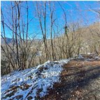  Una lieve nevicata - Savignone - 2024 - Boschi - Inverno - Voto: Non  - Last Visit: 13/4/2024 16.48.35 