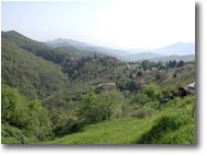 Foto Savignone - Fiori&Fauna - La frazione Vittoria vista dai prati del M. Cappellino