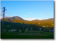 Foto Savignone - Fiori&Fauna - Monte Maggio da Besolagno