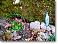 Foto Savignone - Fiori&Fauna - Un'apparizione nel bosco