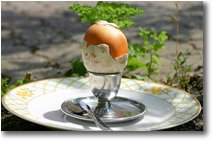 Foto Savignone - Fiori&Fauna - L amanita è servita! Fungo amanita cesarea, ovulo buono