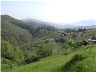  La frazione Vittoria vista dai prati del M. Cappellino - Savignone - <2001 - Fiori&Fauna - Estate - Voto: Non  - Last Visit: 9/5/2023 13.47.1 