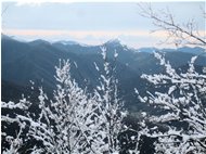  Alpe Sisa: prospettiva conica	 - Savignone - 2015 - Landscapes - Winter - Voto: Non  - Last Visit: 23/1/2023 19.41.9 