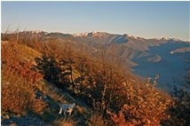  Another shot of M. Antola - Savignone - 2006 - Landscapes - Winter - Voto: Non  - Last Visit: 28/9/2023 20.36.5 
