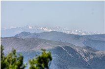  Appennino di Ponente (Monti Rama, Reixa e Beigua) e Alpi Liguri - Savignone - 2011 - Landscapes - Summer - Voto: Non  - Last Visit: 21/9/2023 6.47.59 